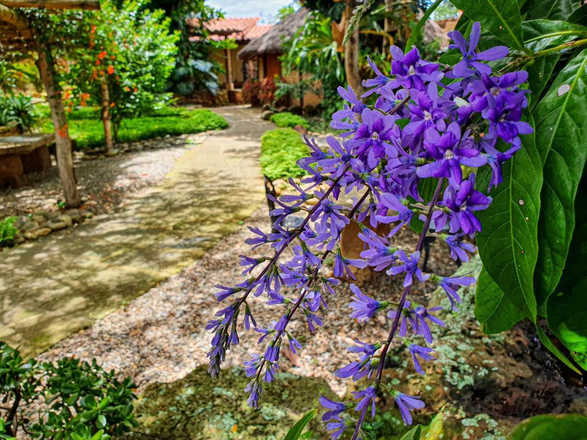 Hotel Terra Barichara Villanueva  Dış mekan fotoğraf