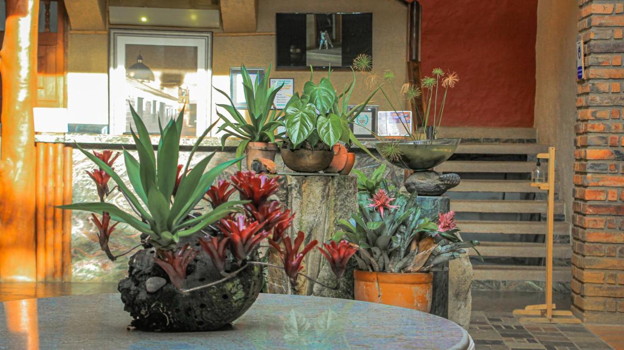 Hotel Terra Barichara Villanueva  Dış mekan fotoğraf